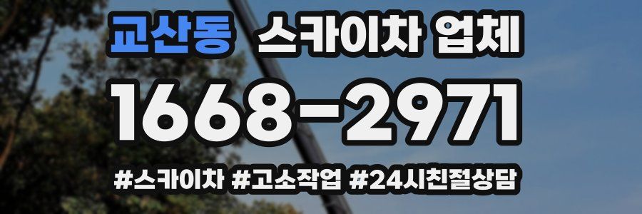 교산동 스카이차 업체