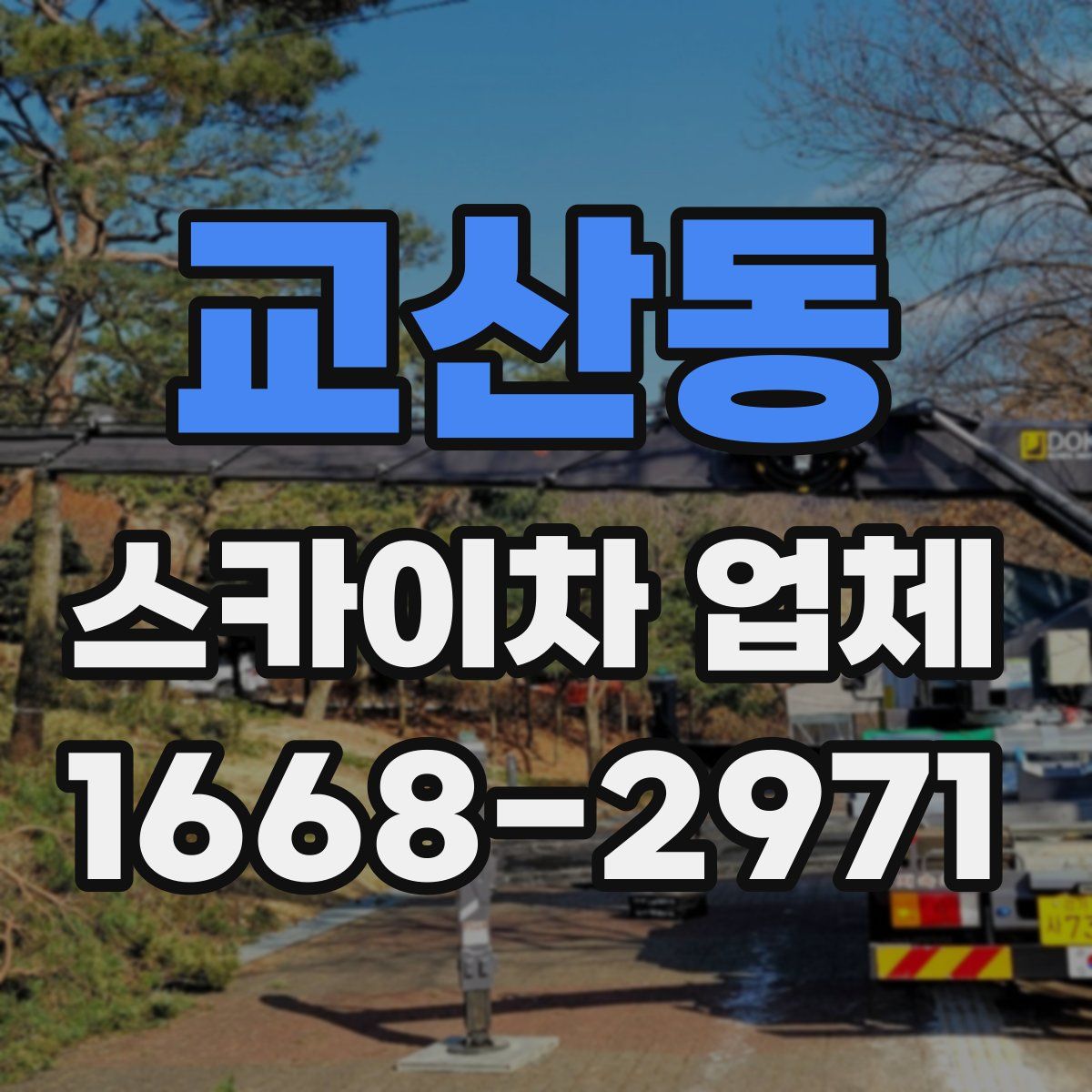 교산동 스카이차 업체