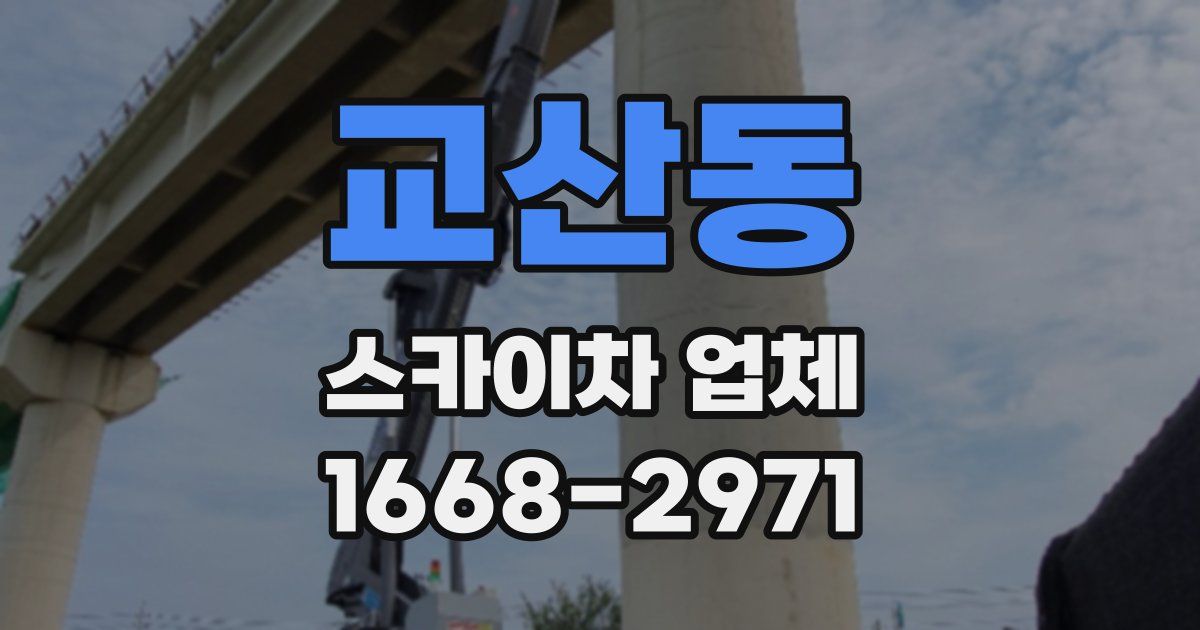 교산동 스카이차 업체