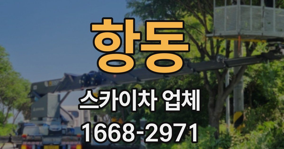 항동 스카이차 업체