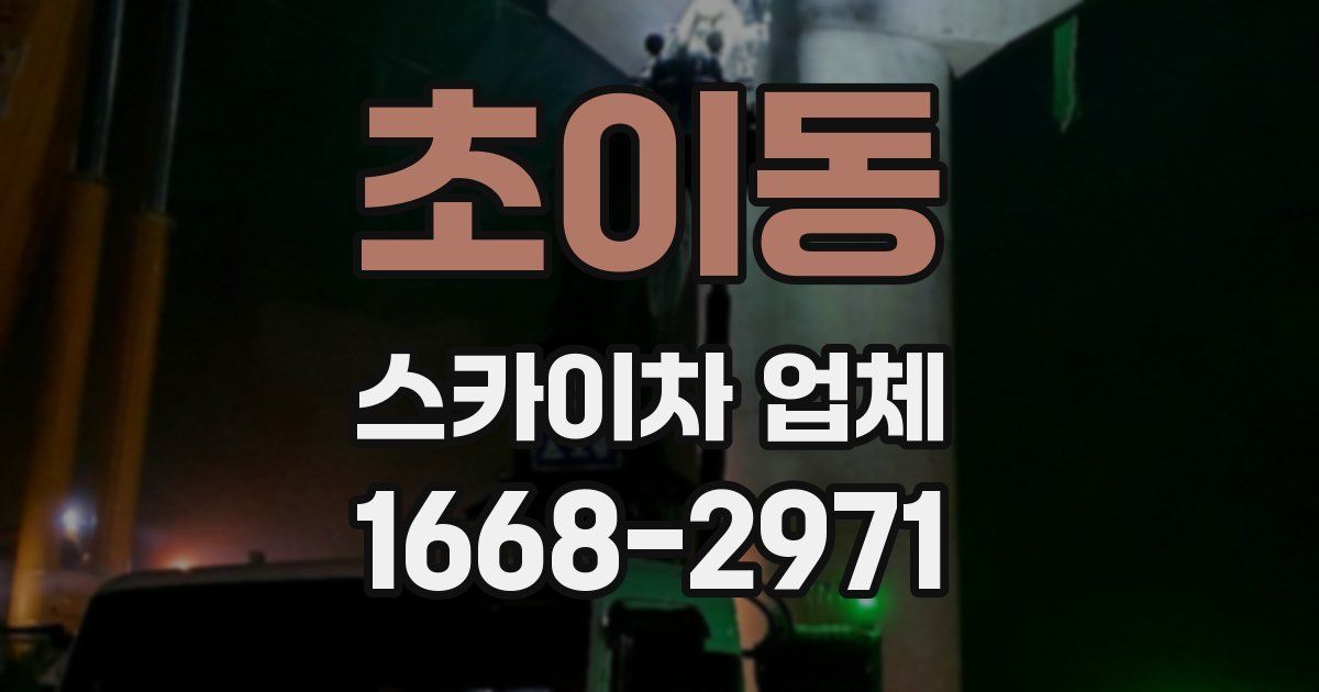 초이동 스카이차 업체