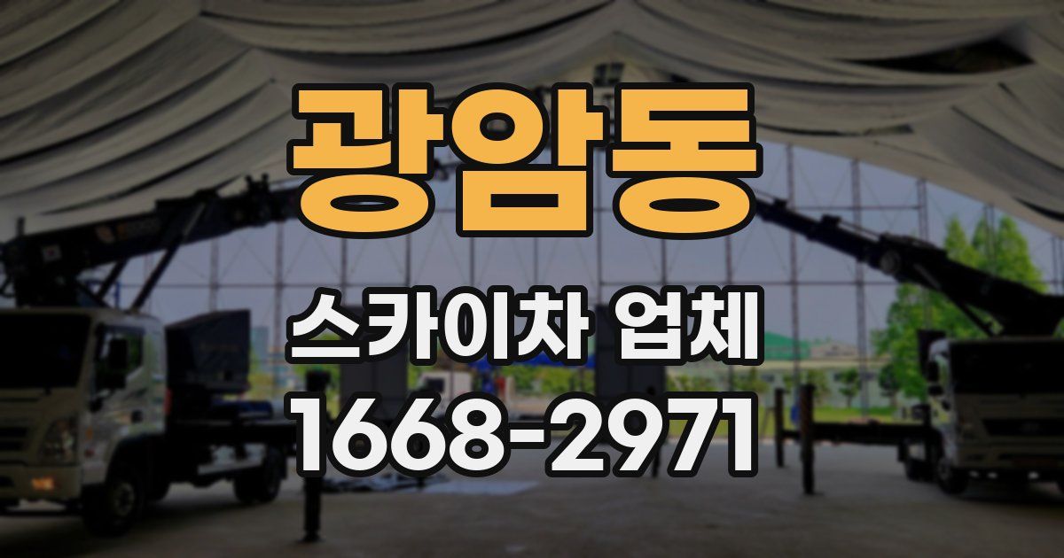 광암동 스카이차 업체
