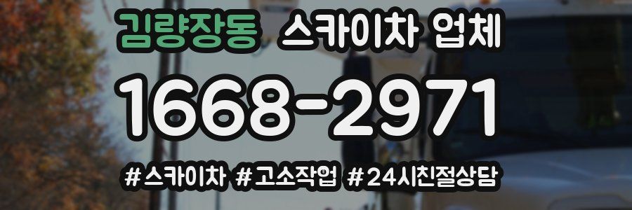 김량장동 스카이차 업체