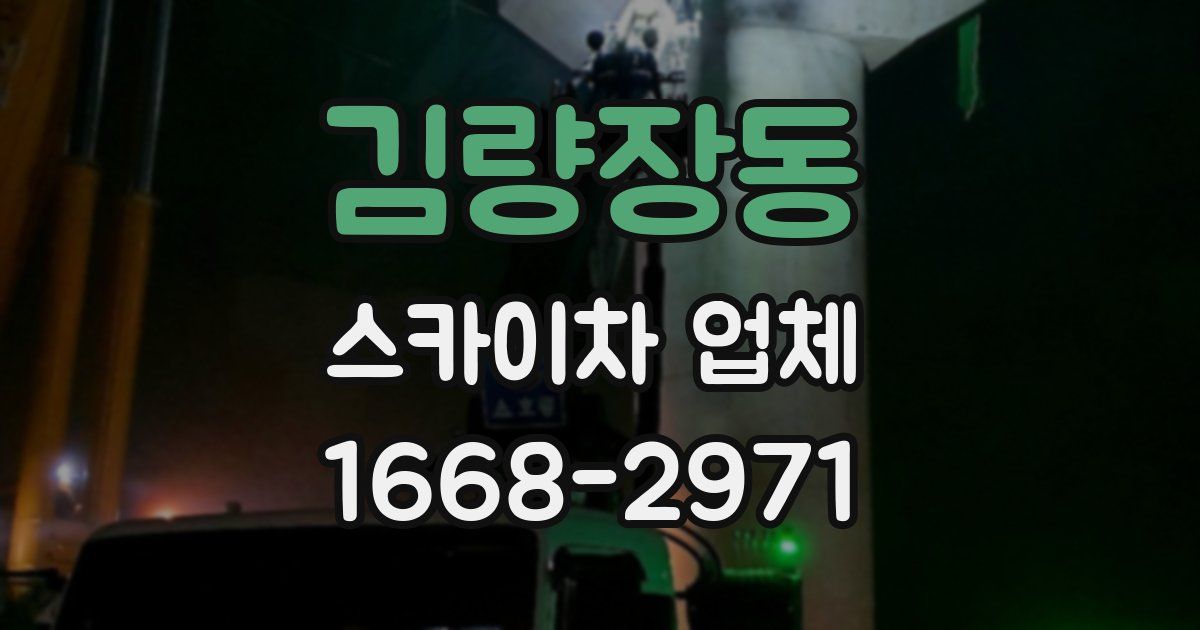 김량장동 스카이차 업체
