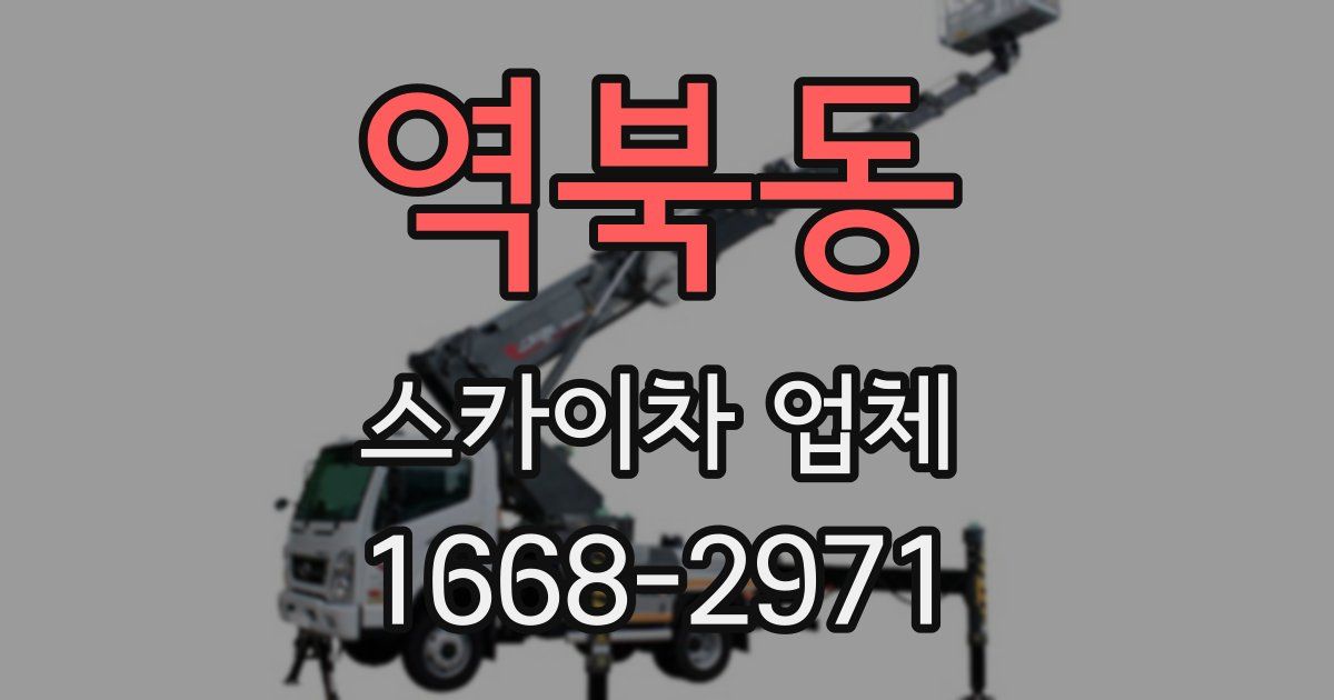역북동 스카이차 업체