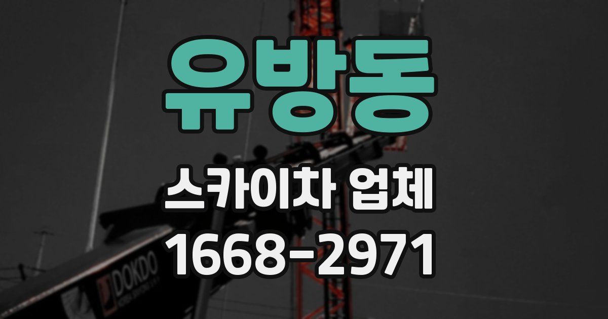 유방동 스카이차 업체