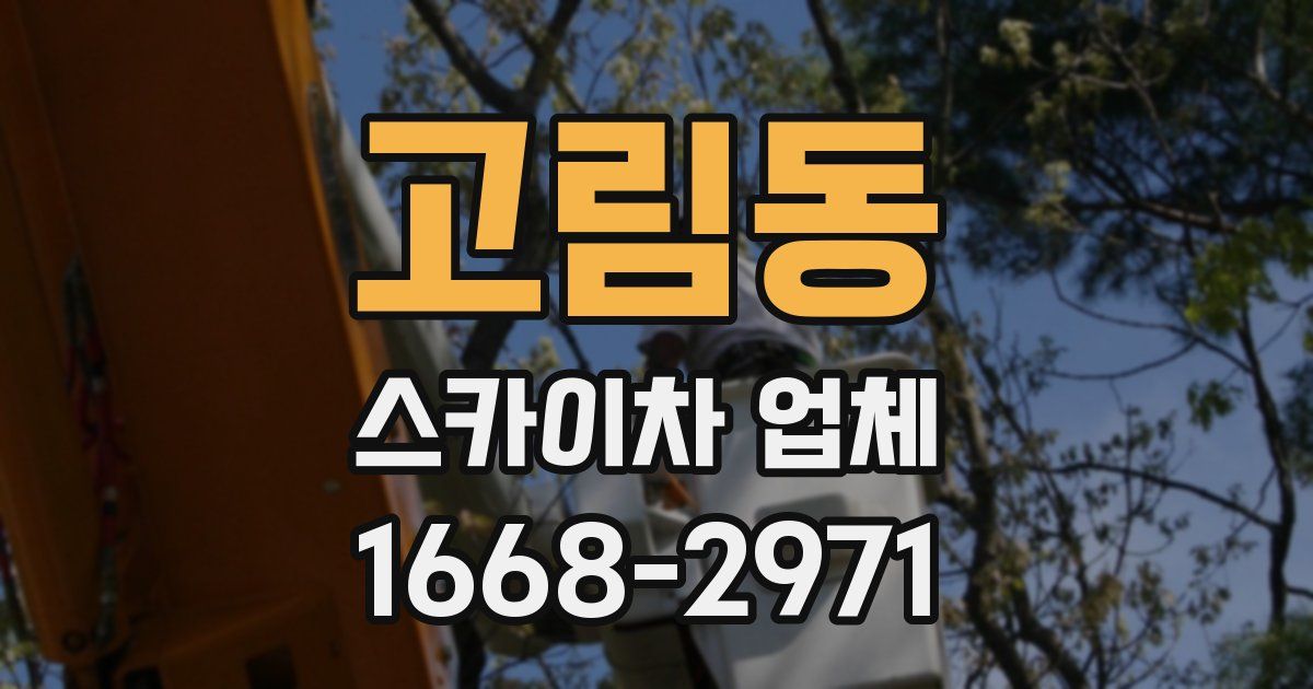 고림동 스카이차 업체