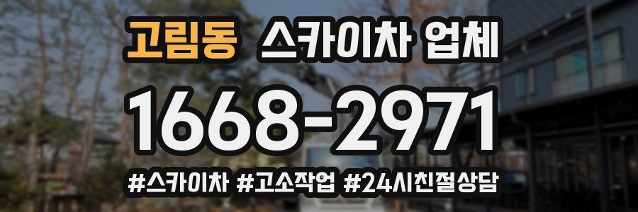 고림동 스카이차 업체