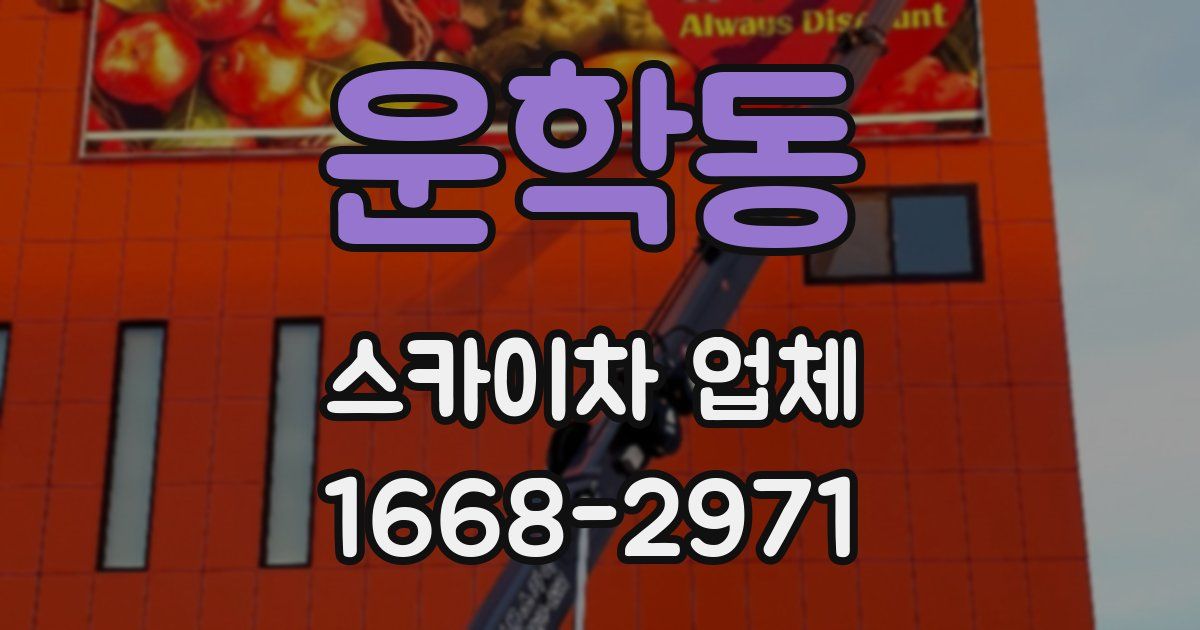 운학동 스카이차 업체