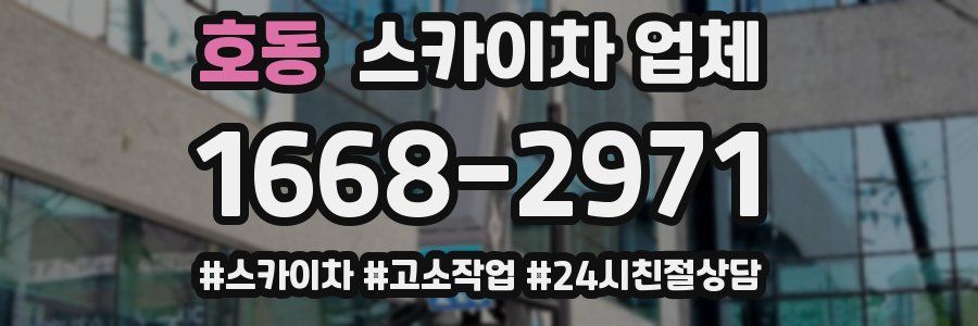 호동 스카이차 업체