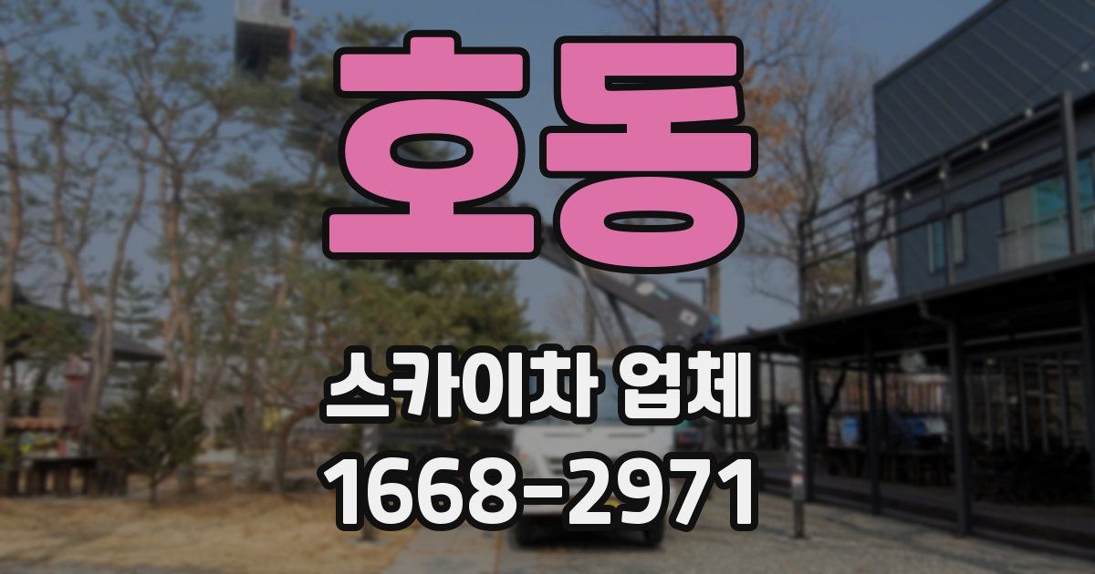 호동 스카이차 업체