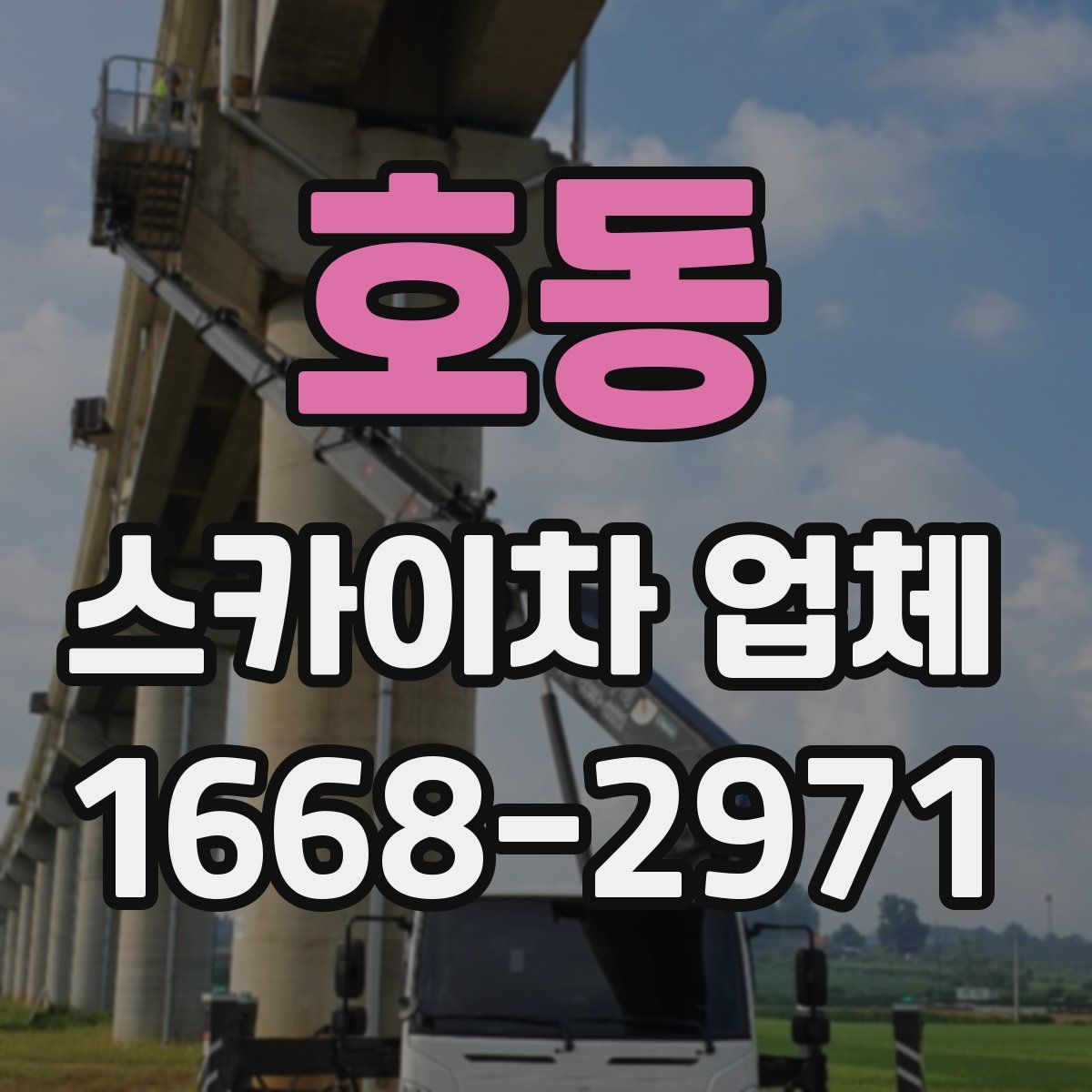 호동 스카이차 업체