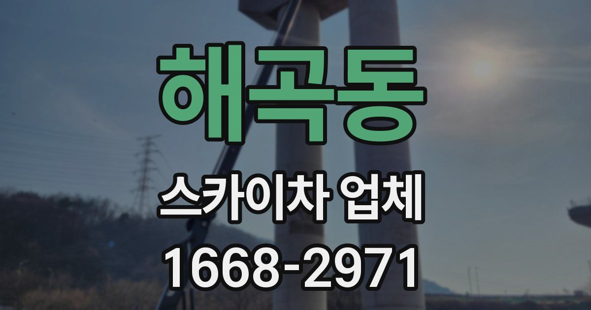 해곡동 스카이차 업체