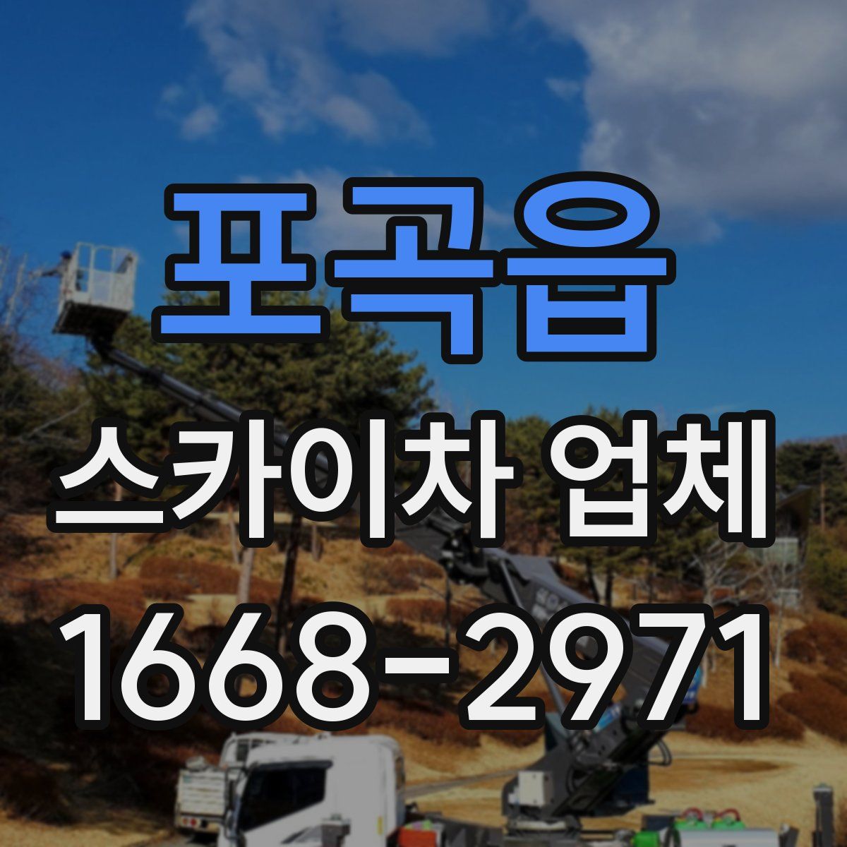 포곡읍 스카이차 업체