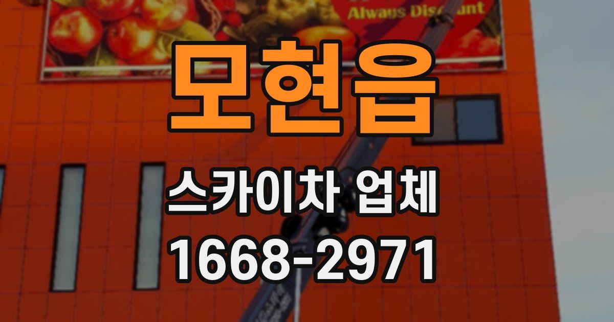 모현읍 스카이차 업체