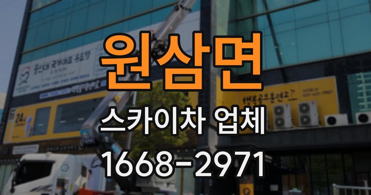 원삼면 스카이차 업체