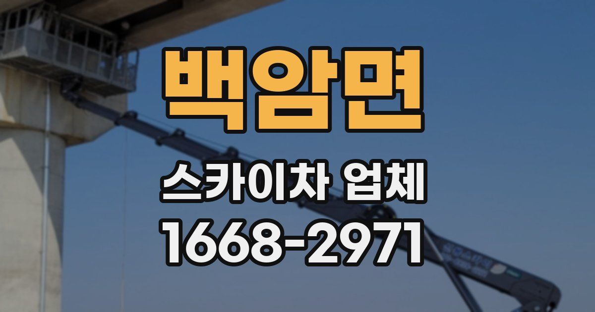 백암면 스카이차 업체