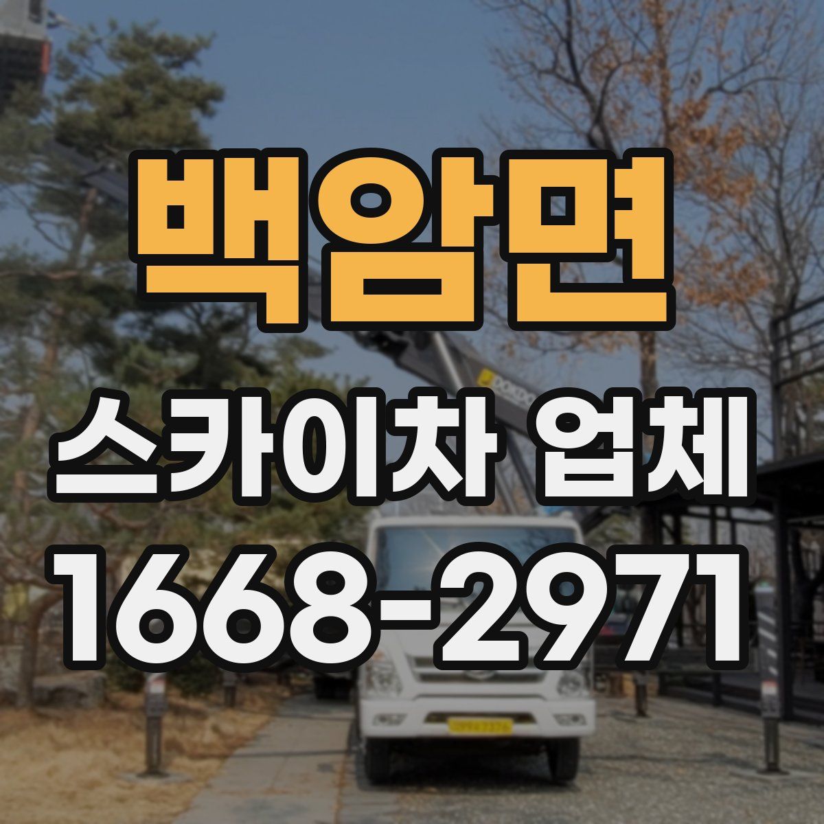 백암면 스카이차 업체