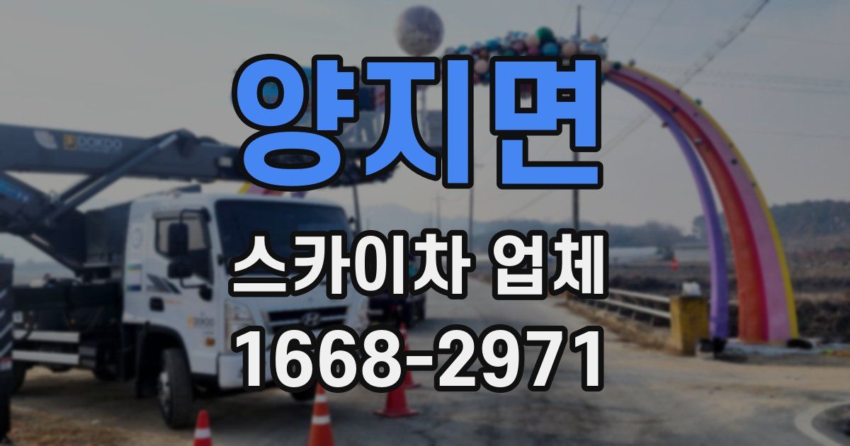 양지면 스카이차 업체