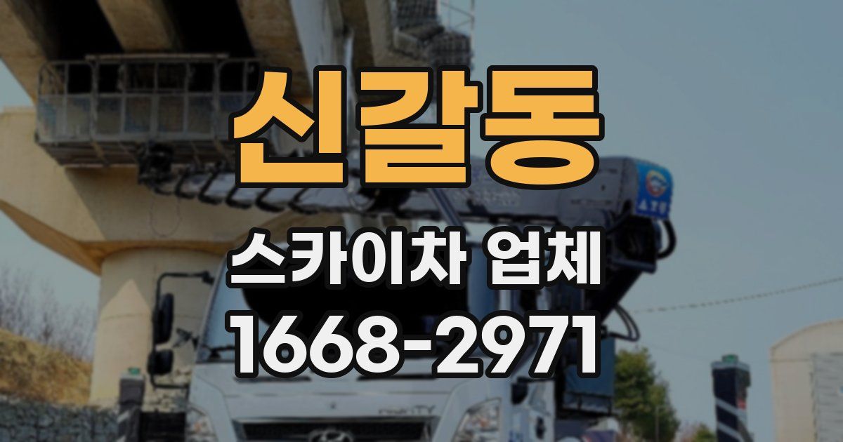 신갈동 스카이차 업체