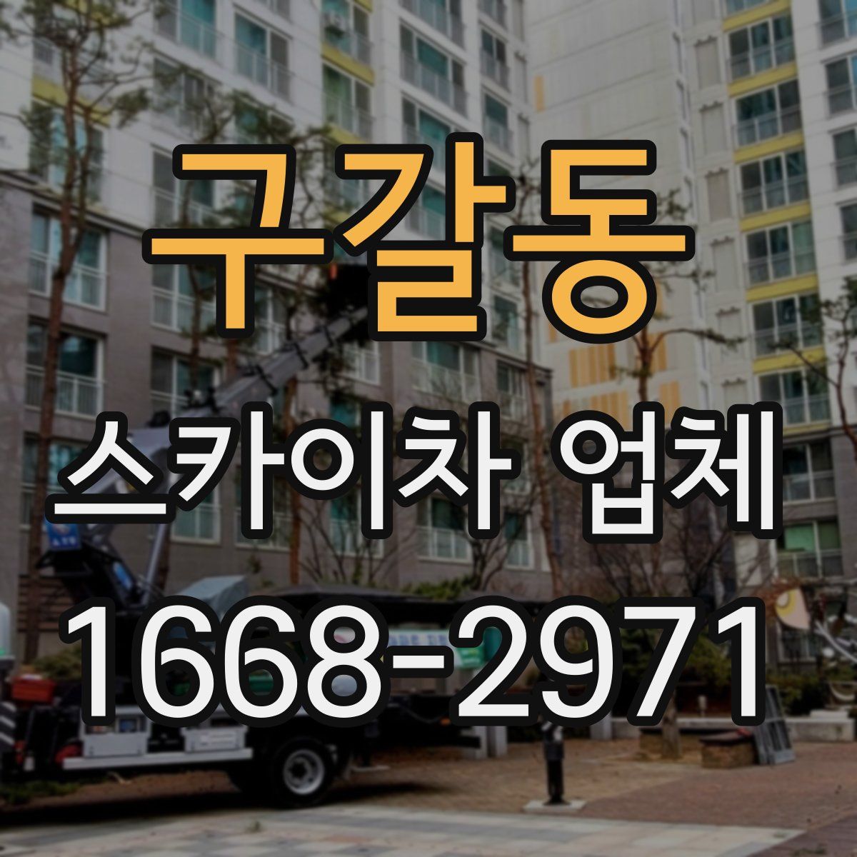 구갈동 스카이차 업체