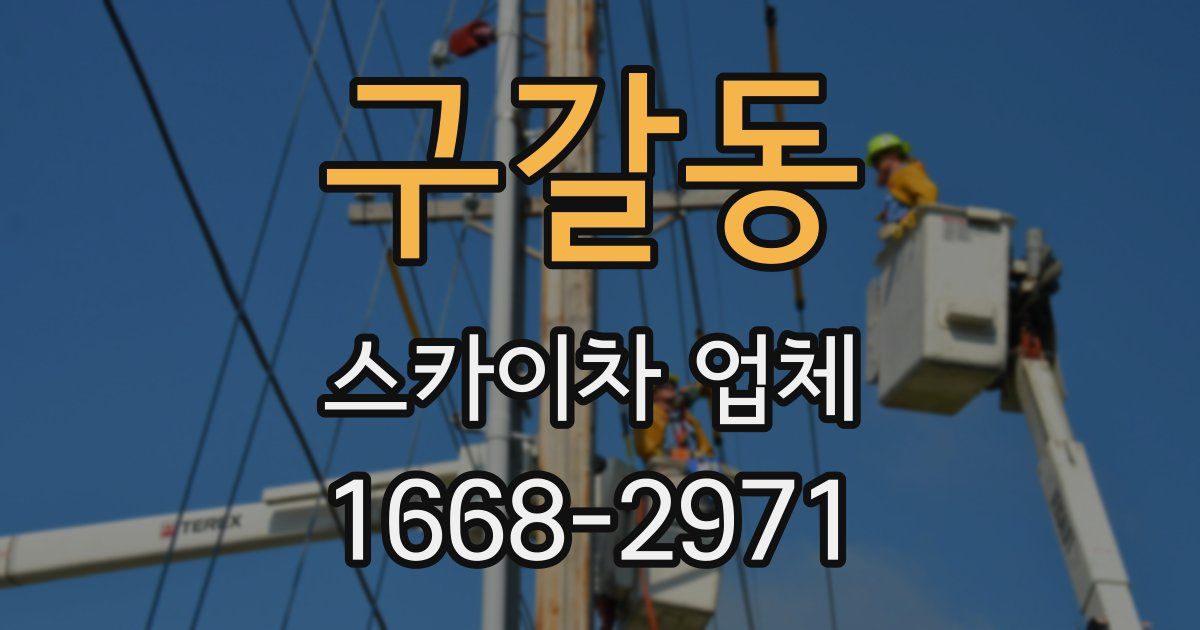 구갈동 스카이차 업체