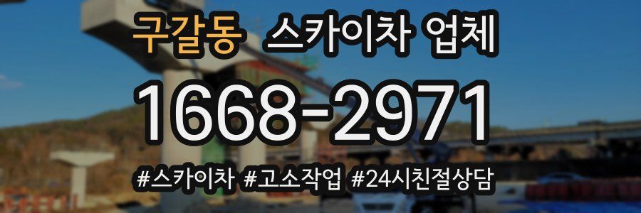 구갈동 스카이차 업체