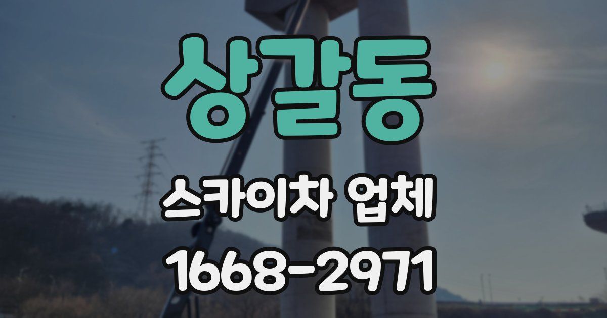상갈동 스카이차 업체