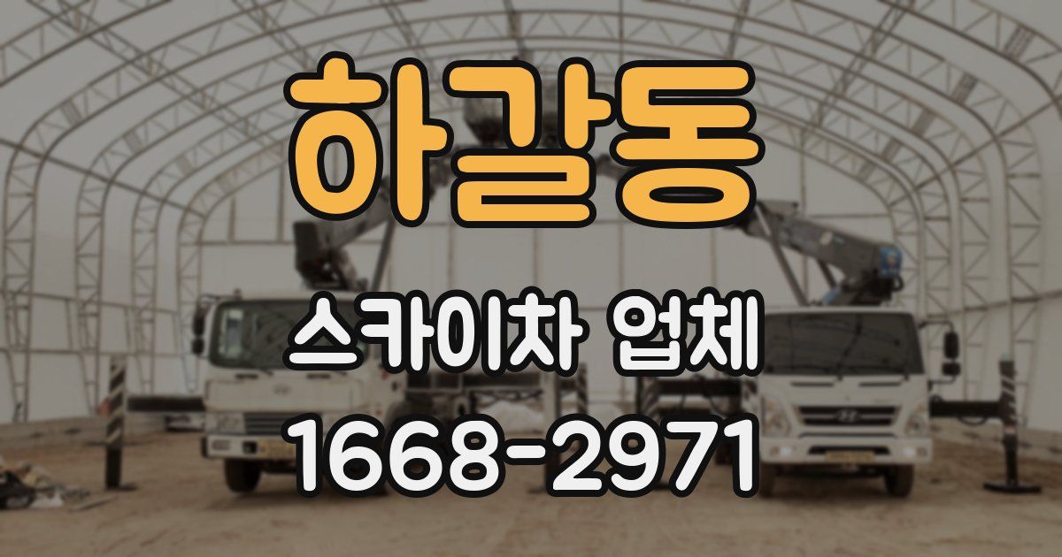 하갈동 스카이차 업체