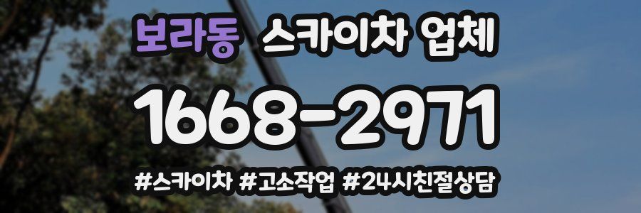 보라동 스카이차 업체