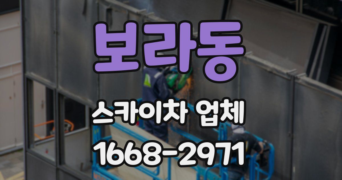 보라동 스카이차 업체