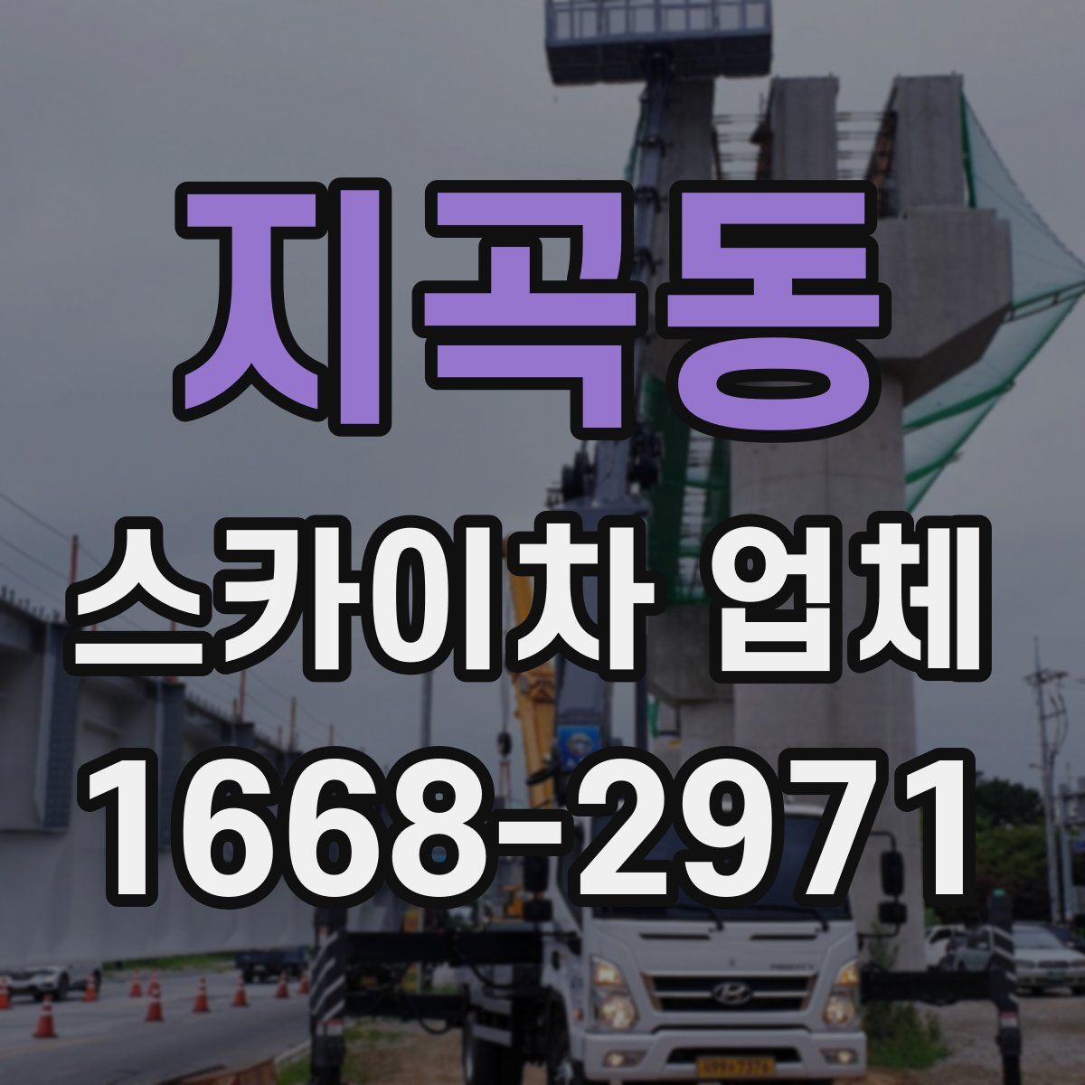 지곡동 스카이차 업체