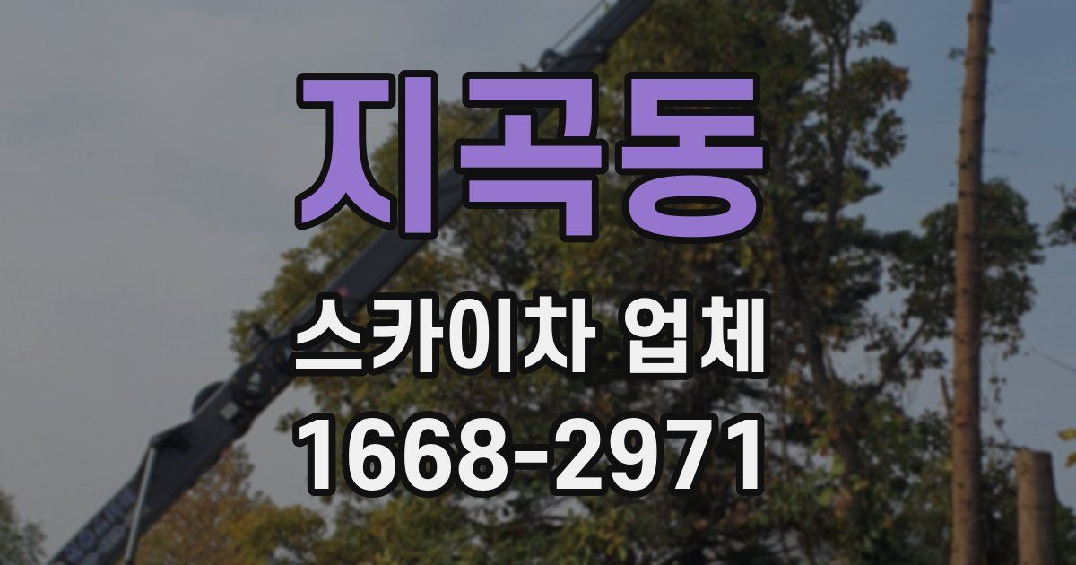 지곡동 스카이차 업체