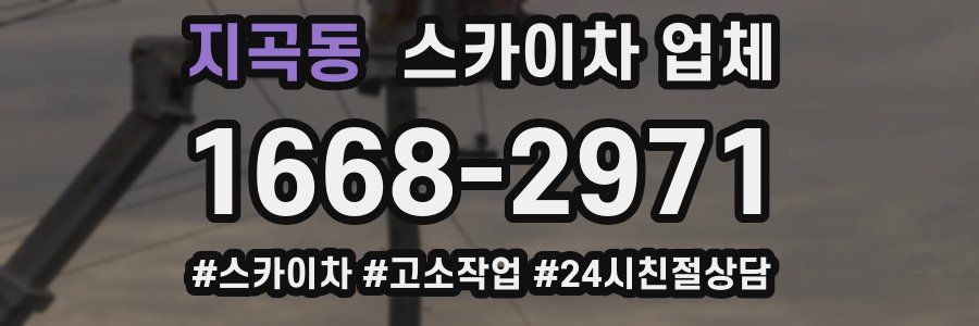 지곡동 스카이차 업체