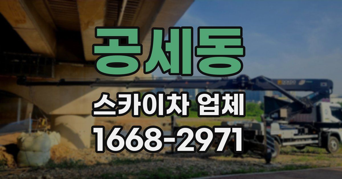 공세동 스카이차 업체