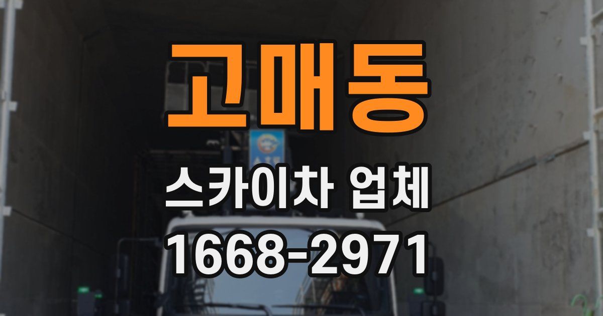 고매동 스카이차 업체