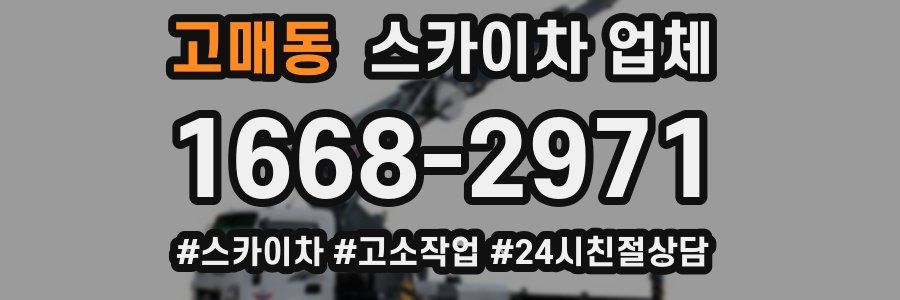 고매동 스카이차 업체