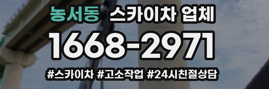 농서동 스카이차 업체