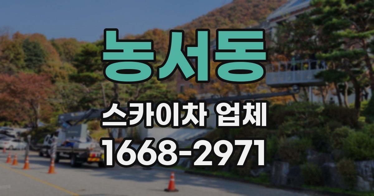 농서동 스카이차 업체
