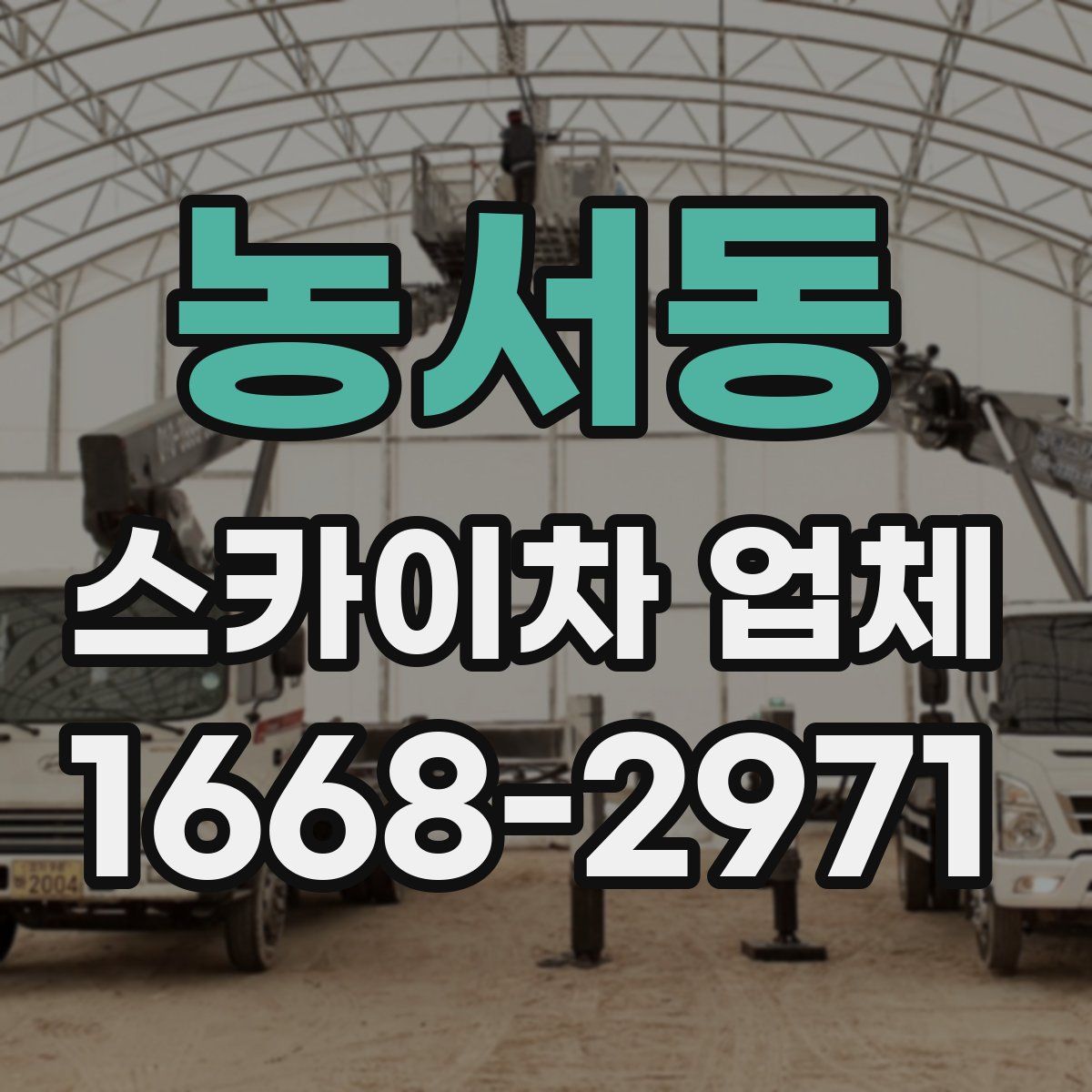농서동 스카이차 업체