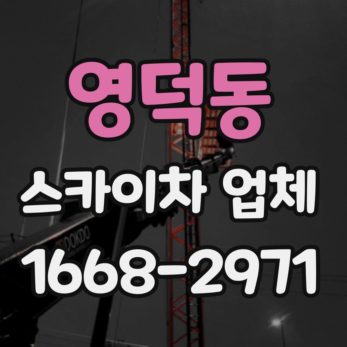 영덕동 스카이차 업체