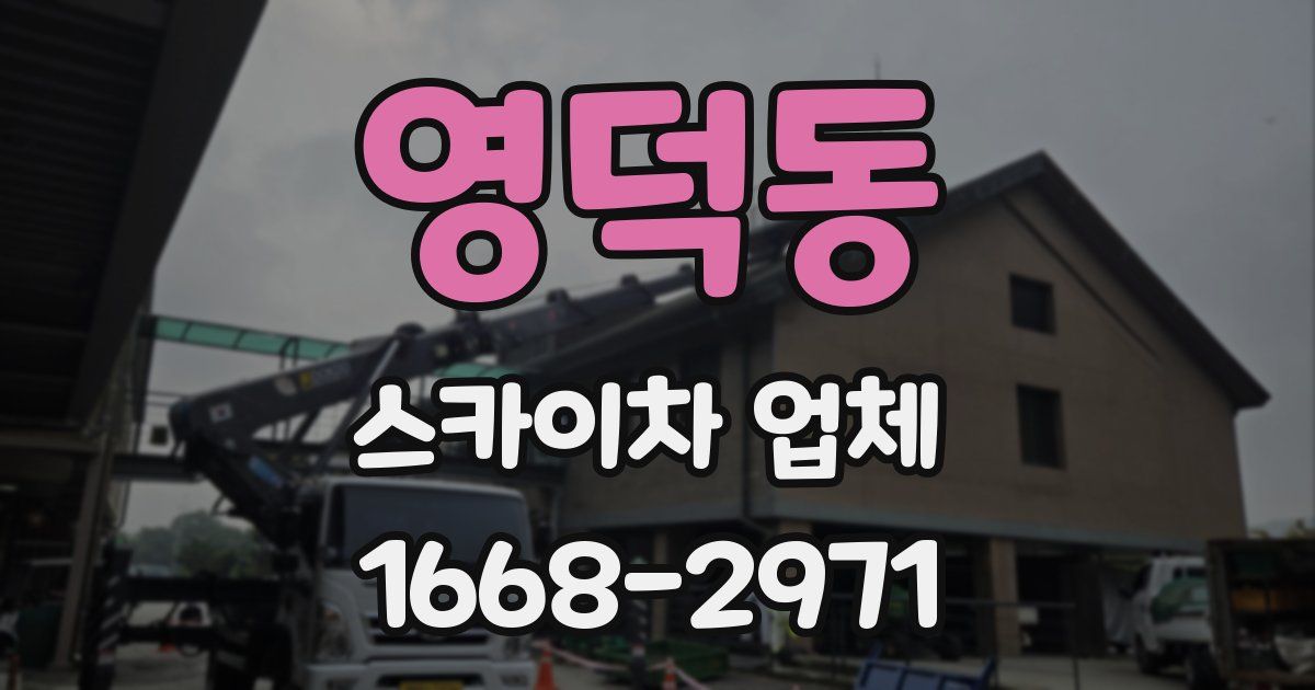 영덕동 스카이차 업체