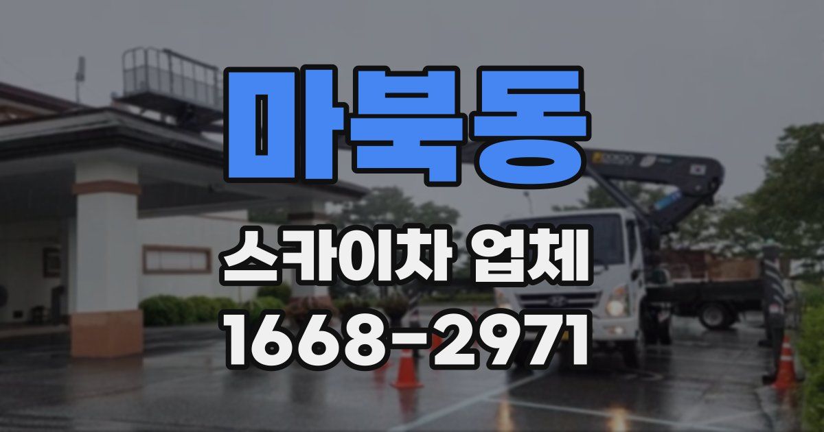 마북동 스카이차 업체