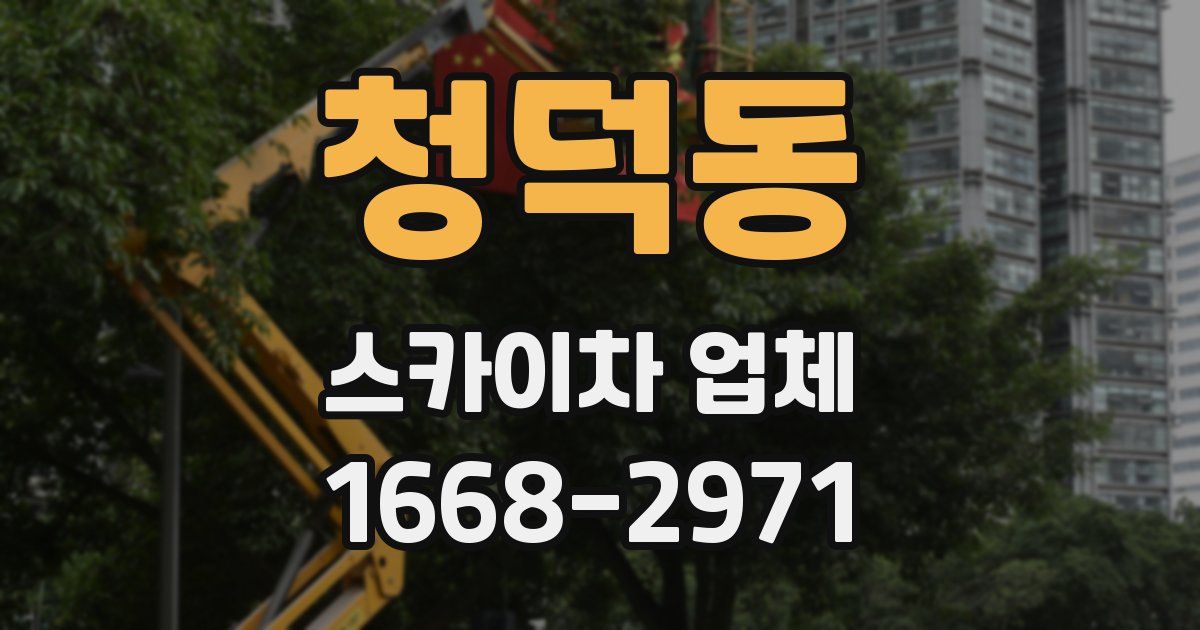 청덕동 스카이차 업체