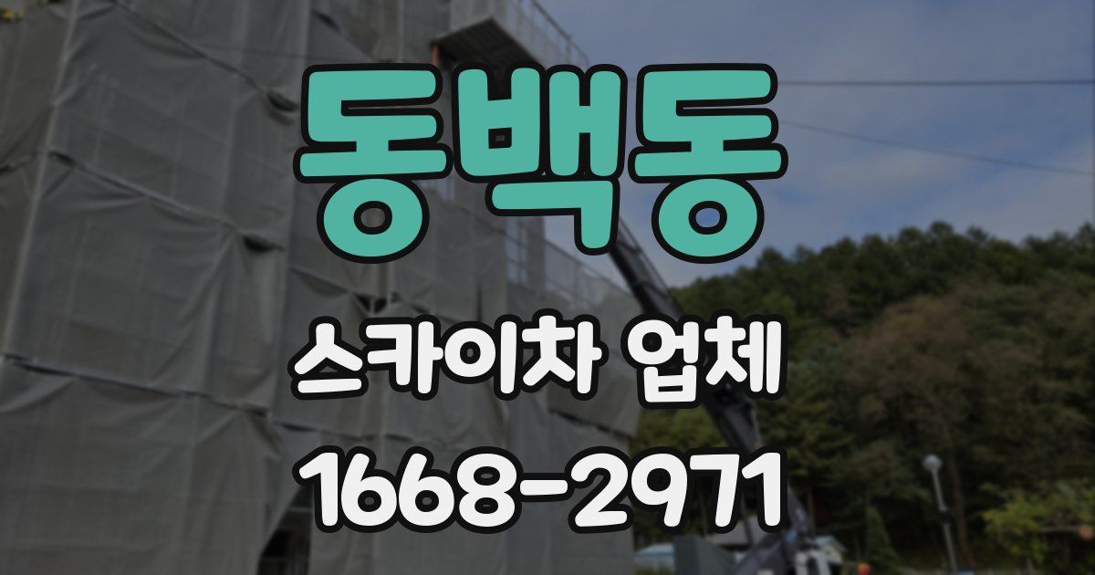 동백동 스카이차 업체