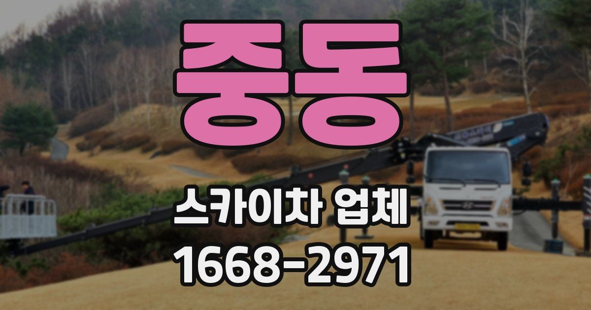 중동 스카이차 업체