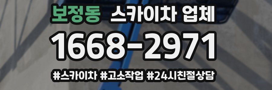 보정동 스카이차 업체