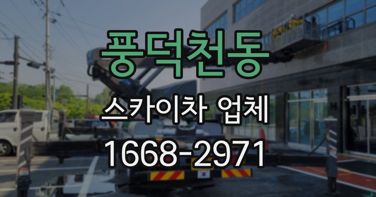 풍덕천동 스카이차 업체