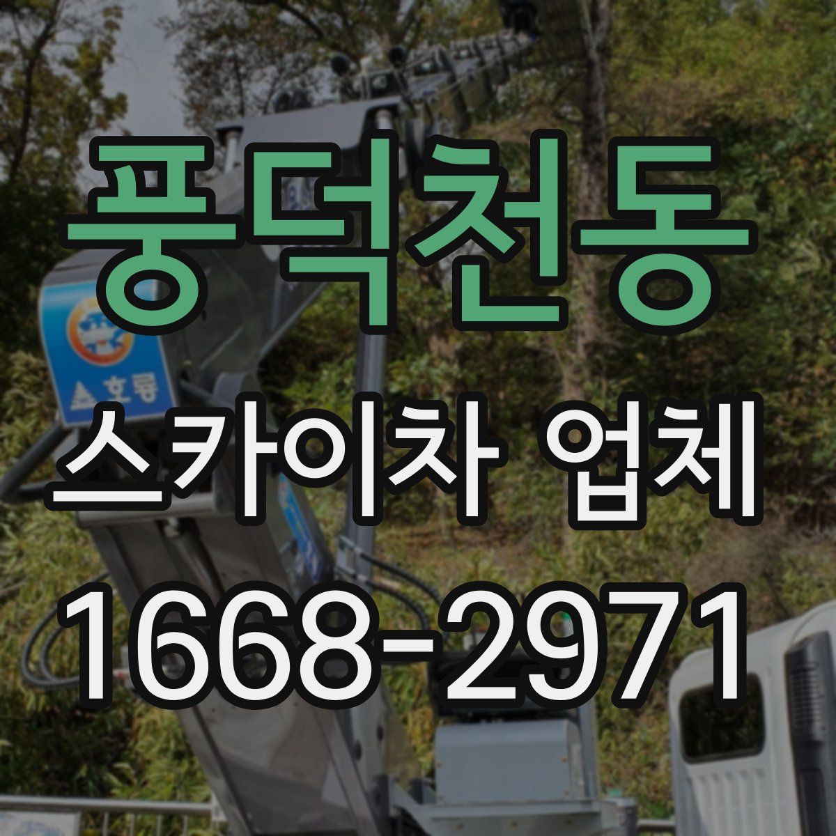 풍덕천동 스카이차 업체