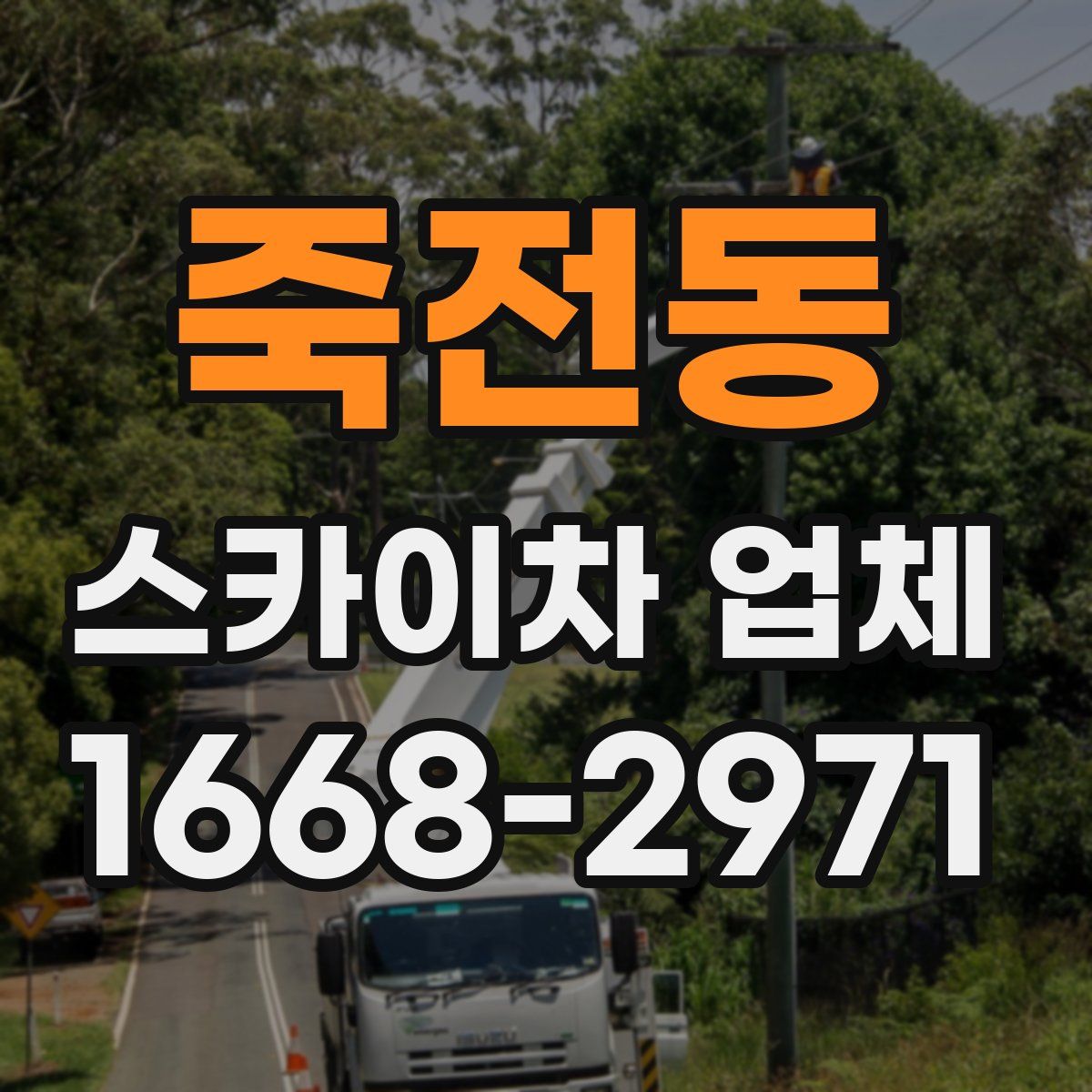 죽전동 스카이차 업체